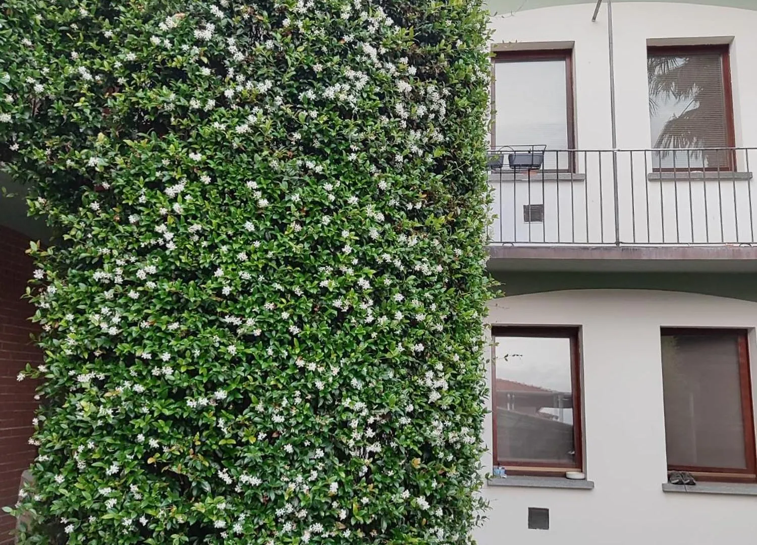 Casa Vacanza Il Gelsomino Somma Lombardo Italy